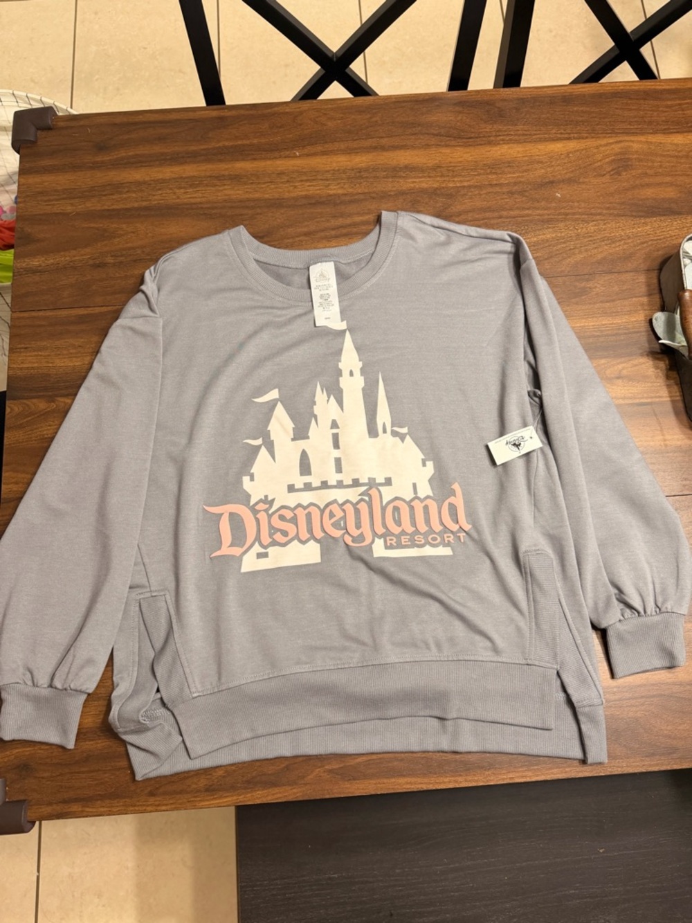 Disneyland Gray Sweatshirt with Castle Graphic and Pink Logo